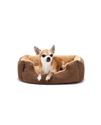 lionto Letto per Cani Cuscino per Cani Divano per Cani con Cuscini, (S) 50x37 cm Beige/Marrone