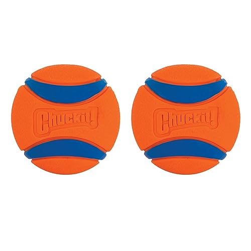 Chuckit! Per Cane, Ultra ball CH17020 piccola, confezione da 2 pezzi