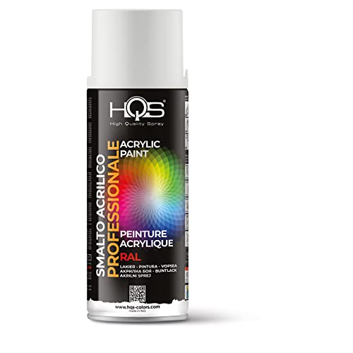 HQS Bomboletta di Vernice Spray Acrilica Colori Ral (Ral 9010 Bianco Opaco)