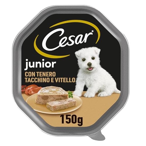 Cesar Junior Cibo per Cane Cucciolo Puppy con tenero Tacchino e Vitello 150 g - 14 vaschette