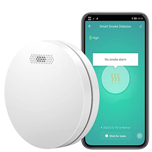 Rilevatore di fumo WiFi con batteria al litio da 10 anni Rilevatore di incendio wireless intelligente con funzione muto tramite app EN 14604 Allarme di prova per avviso incendio 1 pezzo