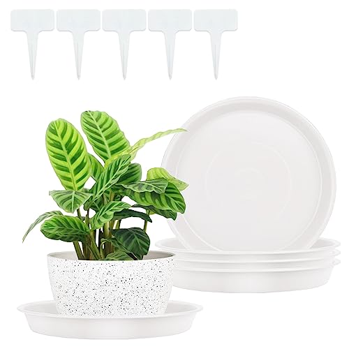 RZMZBY 5 Pezzi Piattini per Vasi da Fiori,Sottovasi per Piante Rotondo,per Piante da Giardino,per Piante da Interni ed Esterni(19cm Bianco)