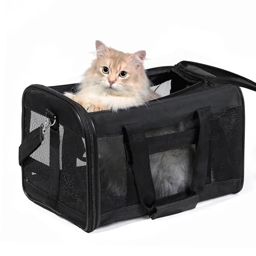 HITSLAM Trasportino Gatto, Trasportino Cane per Gatto/Gatti/Cane/Cani, Trasportino Morbido e Aereo Borsa per Animali Domestici Viaggio,Conforme agli Standard, Nero (M)