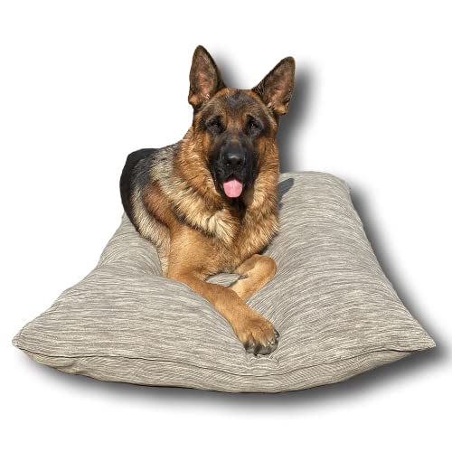 Dorian Home Cuscino per Cani, Cuccia Cane Super Imbottita e Morbida, Cuscino Resistente e Antigraffio, Non ha bisogno di essere Sfoderato, Lavabile in Lavatrice. (60 x 90 cm, Beige)