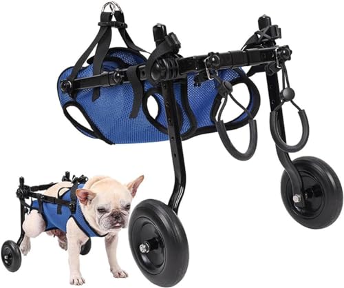 Sedia A Rotelle Leggera Per Cani, Carrello Per Animali Domestici Regolabile Per Zampe Posteriori, Carrello Di Ausilio Per La Mobilità Del Cane Con Ruote Per Cuccioli Feriti Con Mobilità Disabili