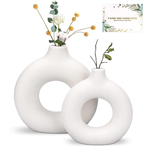 TAVADA Set di 2 Vaso di Ceramica,Vase Decoratif Vaso Ceramica Rotondo da Fiori Decorativo in Stile Moderno per La Decorazione del Soggiorno Camera da Letto e Dell'ufficio