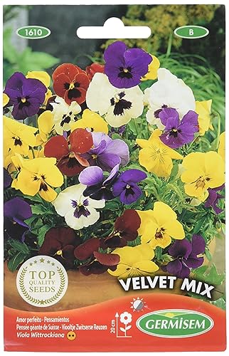 Germisem Velvet Mix Semi di Viola del Pensiero 0.5 g