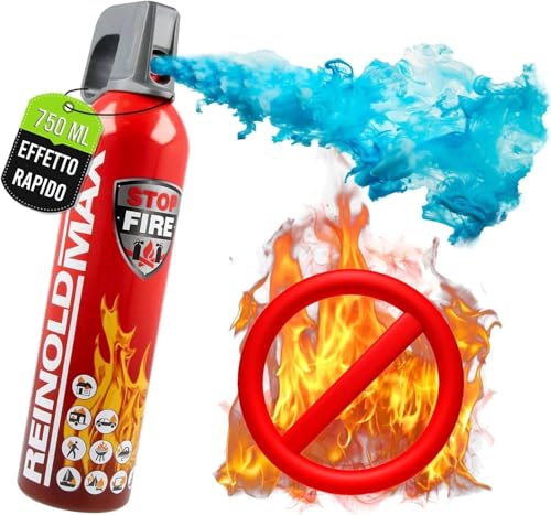 ReinoldMax Piccolo estintore per auto, mini estintore per barca, estintore per camper, estintore elettrico, Aerosol 5 in 1 per tutti gli incendi, estintore commerciale, estintore ad acqua da 750ml