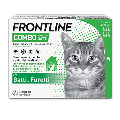 FRONTLINE Combo, 6 Pipette, Antiparassitario per Gatti, Gattini e Furetti di Lunga Durata, Protegge da Pulci, Zecche, Uova, Larve e Anche la Casa, Antipulci In Confezione da 6 Pipette da 0.5 ml