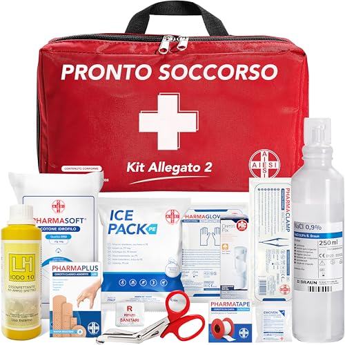 AIESI® Cassetta medica di pronto soccorso (Borsa) con ALLEGATO 2 per aziende meno 3 dipendenti, Conforme DM388/DL81, Made in Italy