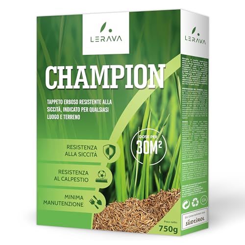 LERAVA CHAMPION - semi prato resistente - sementi prato resistenti alla siccità - seme prato poca acqua - calpestabile - adatti a tutti i luoghi e tipi di terreno - 30m²