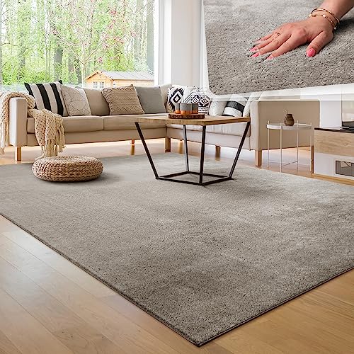 Tappeto per soggiorno Unicolore Lavabile Morbido pelo corto morbido, Dimensione:120x170 cm, Colore:Grigio