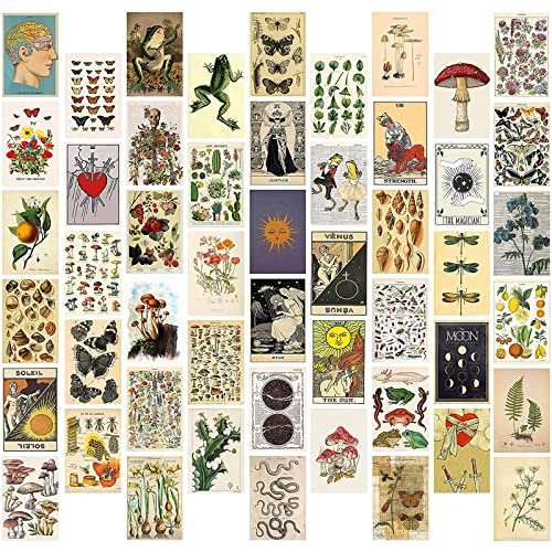 WAIZHIUA 50 Pezzi Set di Collage da Parete Botanico - Wall Kit Estetici - Poster Vintage Aesthetic Room Decor - Stampe per Camera da Letto Ragazzo